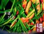 韭菜炒豆干的做法图解6