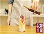 芝士烤肋排的做法图解1