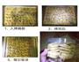 蔓越梅饼干的做法图解7