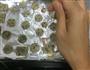 葱香芝麻素饼的做法图解6