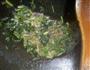 豆芽拌蕨根粉的做法图解4