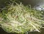 素炒黑豆牙的做法图解2