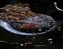 酸豆角炒肉末的做法图解7