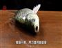 外婆菜烧鲫鱼的做法图解1