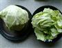 蚝油圆白菜的做法图解1