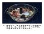 教你轻松学会正宗老北京干炸丸子的做法图解2