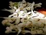 宝宝-回锅肉片炒菜花的做法图解4