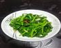 炒菜尖的做法图解4