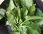 鸡蛋炒菠菜的做法图解4