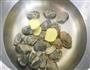 蛤蜊蒸蛋羹 宝宝健康食谱的做法图解3