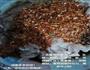 孜然辣椒小炒肉的做法图解2