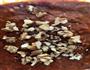 核桃红枣蛋糕的做法图解4