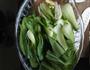 健康少油香菇油菜的做法图解2