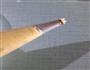 黑胡椒薯塔的做法图解4