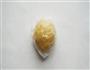 全麦菌菇蔓越莓派的做法图解2