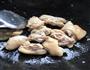 红烧猪蹄的做法图解4