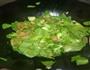 草菇扒油菜的做法图解7