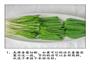 老板，来碗干挑-让你轻松学会老上海葱油拌面的做法图解2