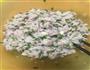 芋艿三角饺的做法图解4
