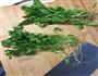 千层蔬菜饼的做法图解1