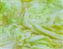 大虾烧白菜的做法图解4