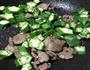 牛肉秋葵的做法图解6