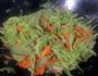 千丝万缕的芸豆的做法图解11