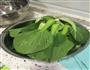 虾仁烧豆腐小白菜的做法图解4
