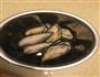 蒜蓉芝士焗青口贝的做法图解2