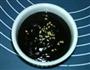 黑豆赤豆芝麻糊的做法图解14