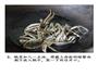 上海老味道的酱香味的做法图解4
