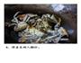 上海老味道的酱香味的做法图解5