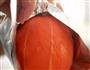 意式南瓜烩饭的做法图解3