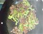 凉瓜炒牛肉的做法图解9
