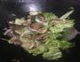 白菜牛肉粉丝汤的做法图解4