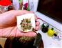 豆腐酿的做法图解3