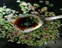 牛肉芹菜卤面条的做法图解5