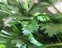 芹菜炒鸡蛋的做法图解1