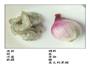 填塞洋葱的做法图解1