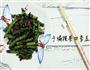 干煸榄菜四季豆-10分钟快手菜的做法图解12