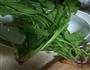 吉野家肥牛饭的做法图解3
