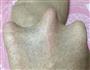 全麦豆沙星形面包的做法图解3