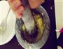 玫瑰红糖姜膏的做法图解1