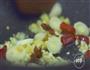 一道独特的美食佳肴—家常啤酒鸭做法的做法图解2