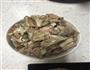 炖羊肉的做法图解1