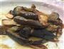 鲑鱼炒茄子的做法图解5