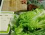 泡菜豆腐汤的做法图解2