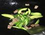牛油果芦笋培根面的做法图解8