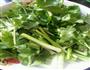 香菜炒肉的做法图解3