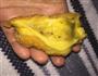 黄米糕-玫瑰、桂花、豆沙的做法图解22